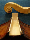 Bass restoration - neck mortise